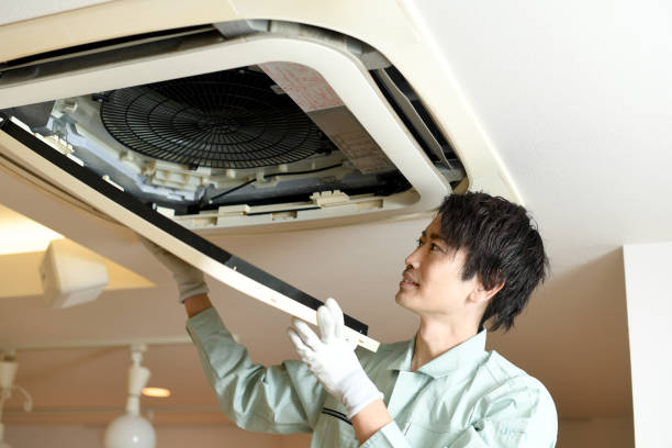 Best Affordable Air Duct Cleaning  in Pea Ridge, WV