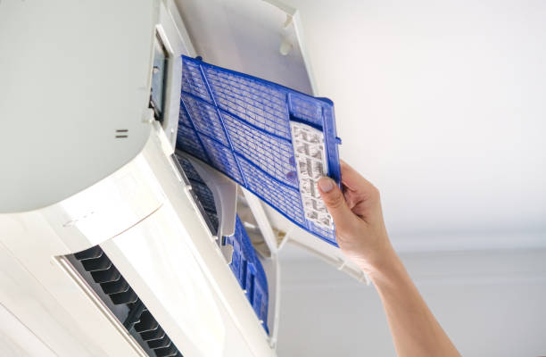 Best Affordable HVAC Duct Cleaning  in Pea Ridge, WV
