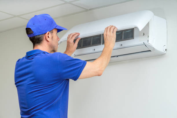 Air Duct Mold Removal in Pea Ridge, WV