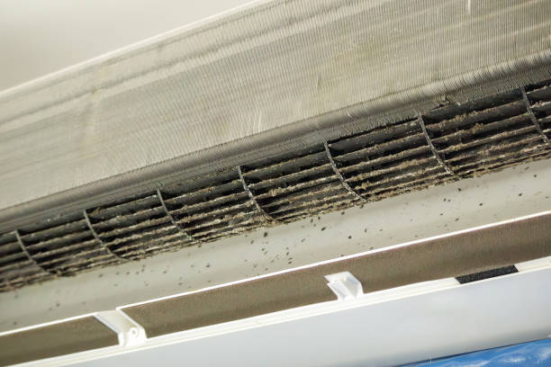 Reliable Pea Ridge, WV Airduct Cleaning Solutions