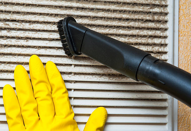 Best Local Air Duct Cleaning Services  in Pea Ridge, WV